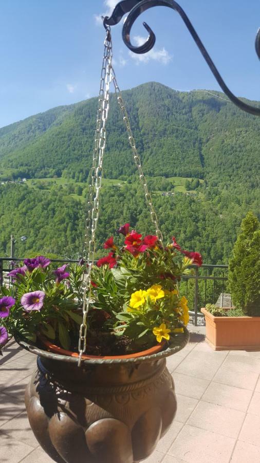 Cedarwood Bed and Breakfast Premana Exterior foto